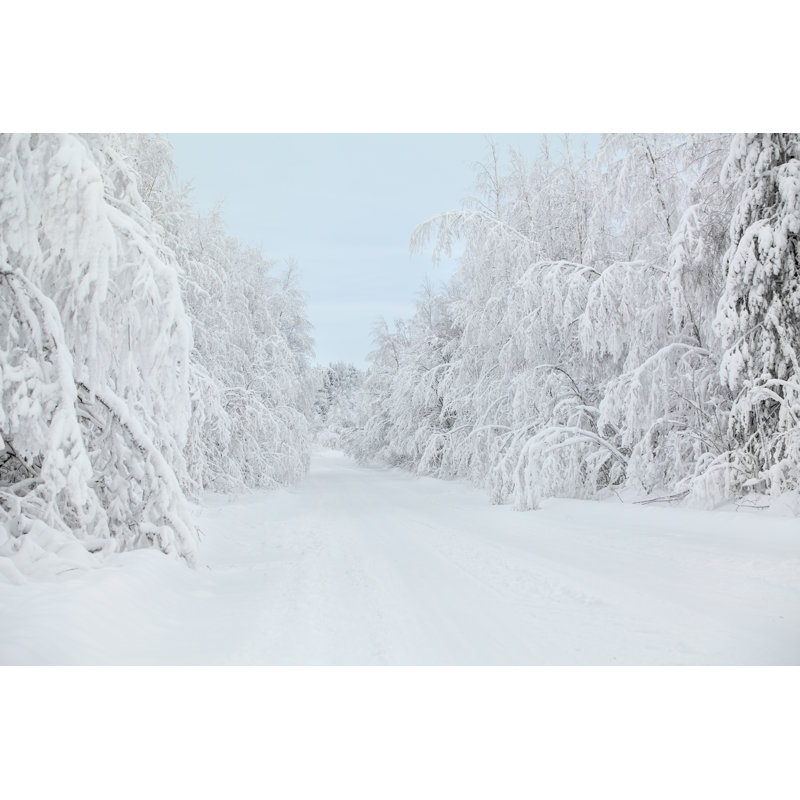 Neige - Photographie sur toile tendue, H 8 po x l 12 po x P 1,25 po