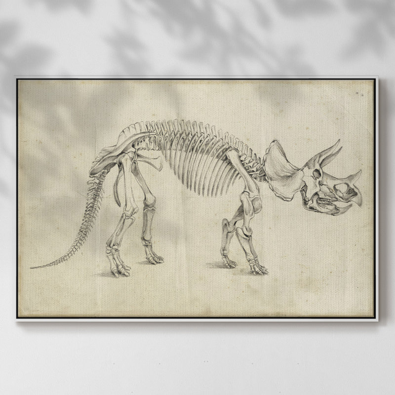«Dinosaur Study II», reproduction d'art sur toile, H 17 po x l 25 po x P 2 po, Blanc