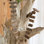 44'' Wood Plants & Flowers Hanging Figurine Ornament