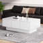 Damarys Pedestal Coffee Table with Storage