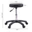 Height Adjustable Rolling Stool
