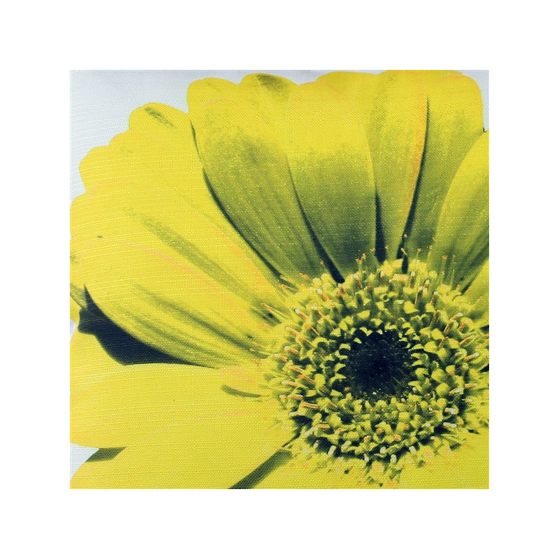 'Daisy Flower Indoor/Outdoor Throw Pillow, Yellow