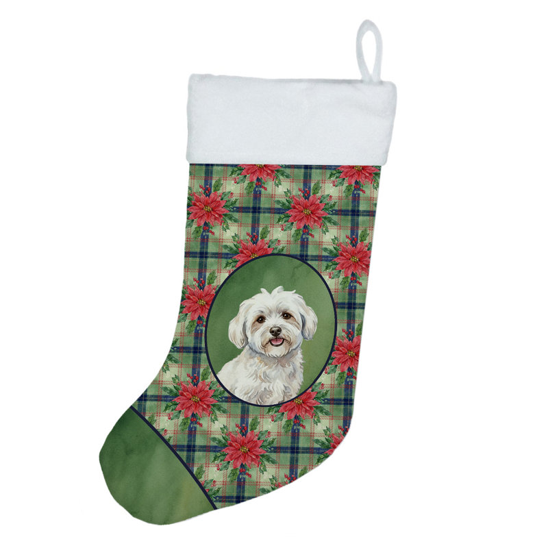 Chaussette de Noël en coton Coton de Tuléar