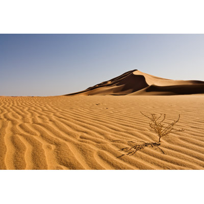 Sahara Landscapes by Cinoby