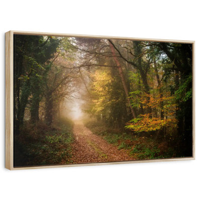 Chemin dans la forêt d'automne