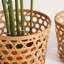 Bay Isle Home Bamboo Decorative Basket