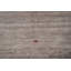 Tapis luxueux de style Gabbeh 10 x 10 pour des espaces de vie chics