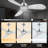 Bazar 52'' Ceiling Fan with LED Lights