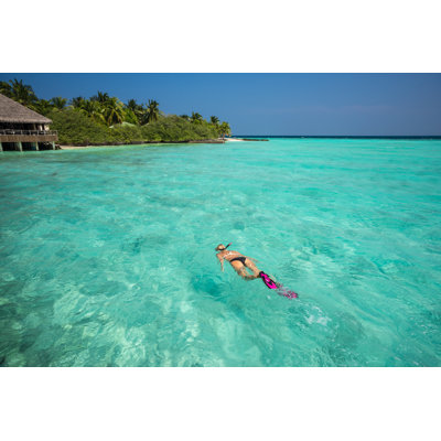 Woman Snorkeling In Clear Tropical Waters