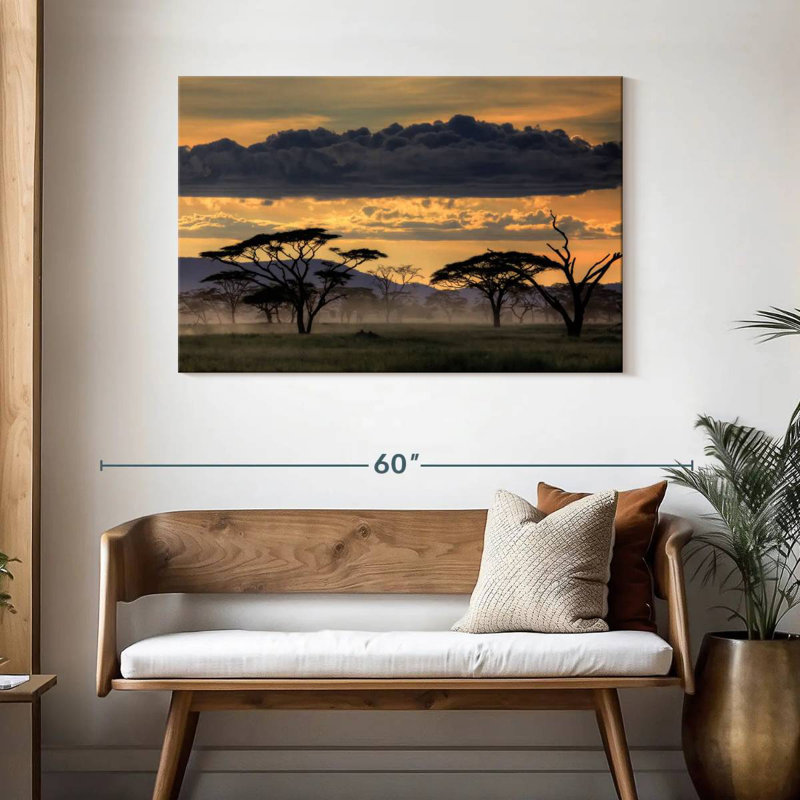 Nicci Good Evening, Tanzanie, H 30 po x l 45 po