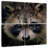 Brampt Racoon-109144662