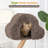 Furlon 59.84'' H Solid Wood Cat Tree with Plush Cushion