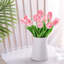 Tiges de tulipes-1272173546