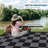 Large Checkered Outdoor Rug 8x10FT UV-Resistant Reversible Camping Mat, Waterproof Outdoor Patio Rug, Easy to Clean, Contemporary Outside Carpet, Foldable Plastic Straw Camping Rug for Patio, Balcony-846272075-846272078