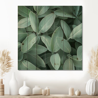Sage Leaves - Leaves  Wood Wall Decor - On Natural Pine Wood