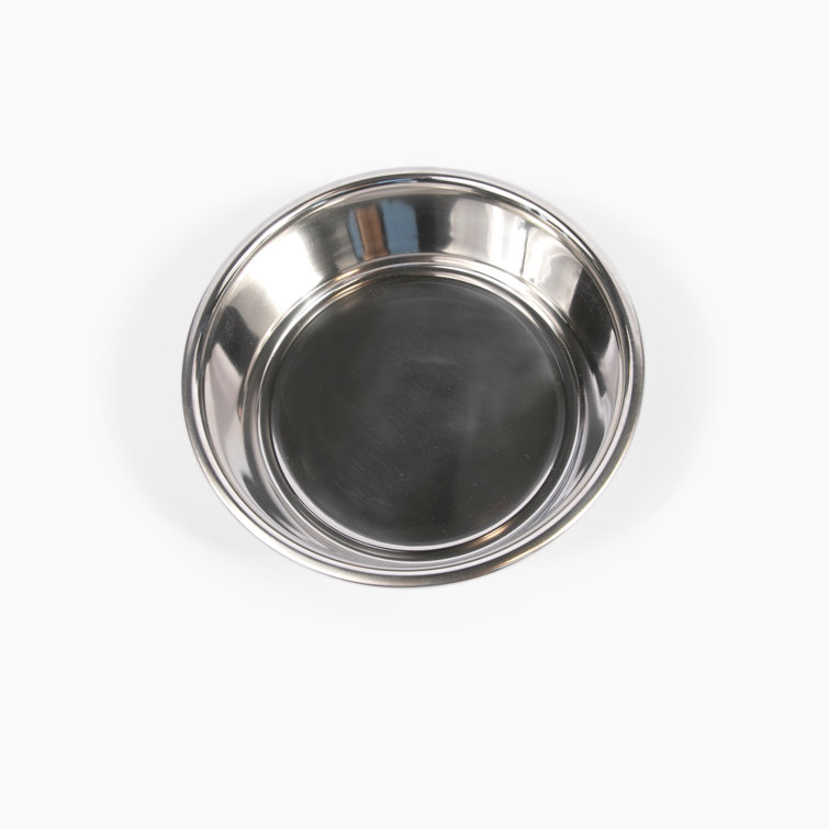 Small Pet Silver Bowl Clear Elevated Feeder Hiddin