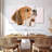 Brampt Beagle-108802651