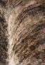 Hair Hide Brindle Light Exotic