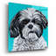«Black and White Shih Tzu» par Carolee Vitaletti, art mural en verre acrylique-1842469634