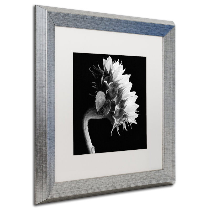 « tournesol », reproduction de photo sur toile encadrée, H 16 po x l 16 po x P 0,5 po