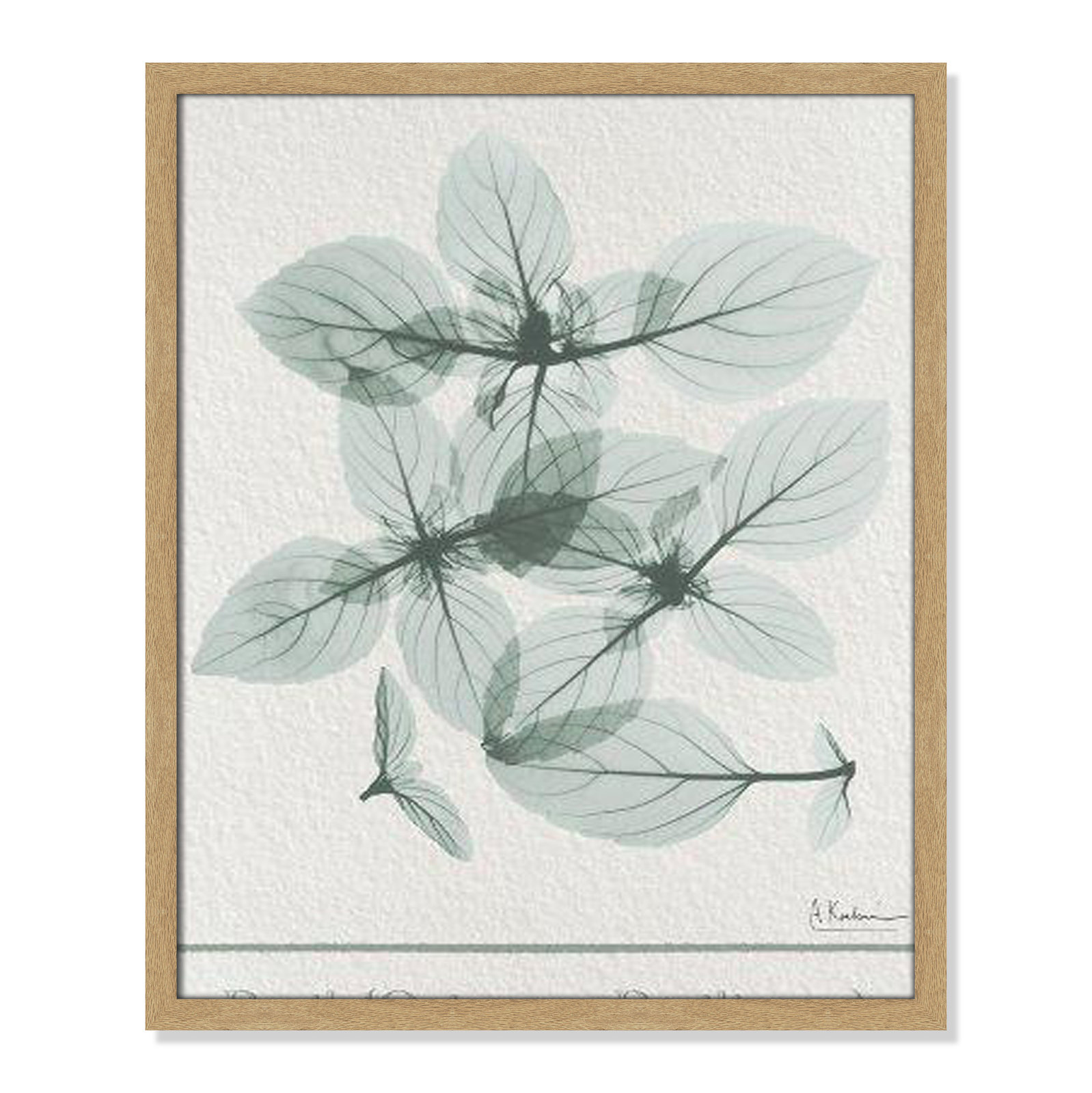 Jeanette "Basil Ocimum Basilicum" Painting, 25.5" H x 21.5" W x 1.25" D, Natural Framed Paper