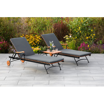 Benthe 195 cm Long Chaise Lounge Set with Cushions and with Table