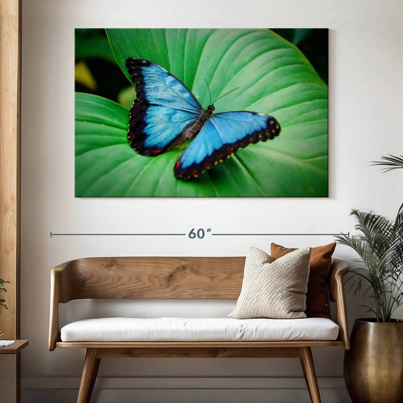 Blue Morpho On Leaf, 34" H x 51" W