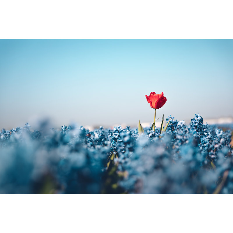 Standing Out From The Crowd by Borchee - No Frame Art Prints on Canvas, 30cm H x 46cm W