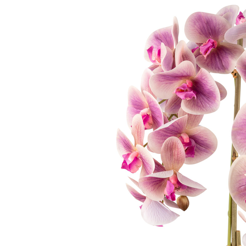 Abella RealTouch Orchid Arrangement, Periwinkle