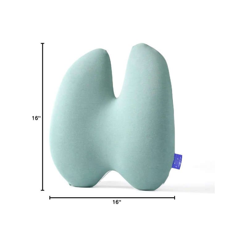 Coussin de soutien lombaire avec sangle extra-dense