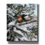  «Christmas Chickadee» par John Hovenstine, art mural sur toile, 20 po x 24 po-1494451046