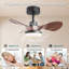 Ventilateur de plafond à DEL Imela avec télécommande et ensemble d'éclairage inclus-628621444