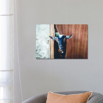 Peekaboo by Ann Hudec - Wrapped Canvas Print
