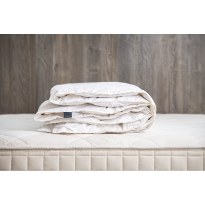 Organic Cotton Kapok Duvet Insert Comforter All-Season
