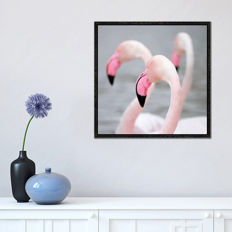 Flamingo I by Ben Heine - Floater Frame Print on Canvas, Black Framed Canvas, 45.72 cm H x 45.72 cm W