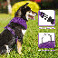 Harnais pour chien en maille, harnais anti-traction ajustable et rembourré avec anneau en D et boucle pour chiens-2013099465-2013099464