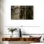 Leisha les grattoirs de plancher-108154425