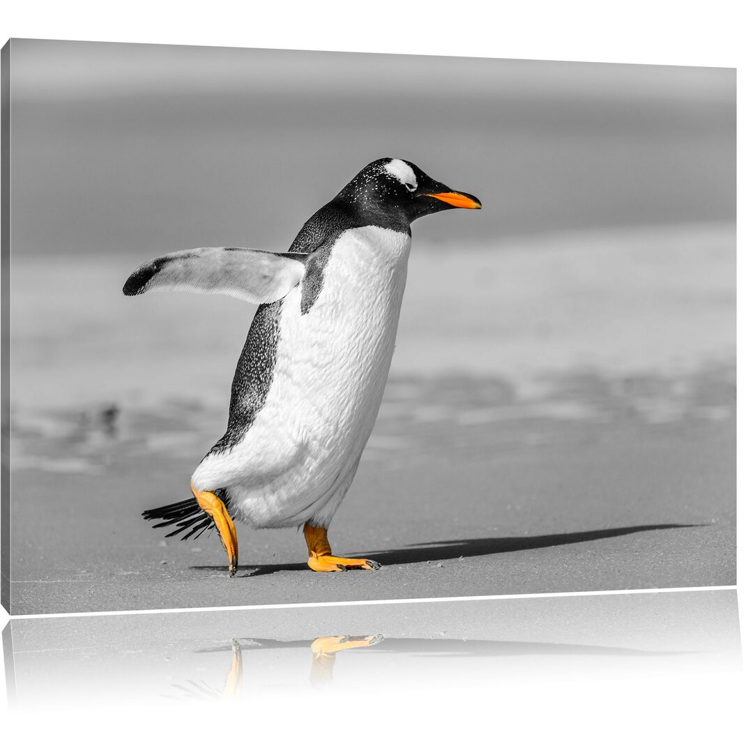 Leinwandbild Watschelnder Pinguin am Strand