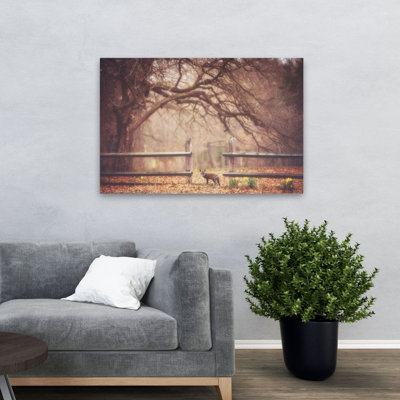 Sly Guy - Photographie de paysage, animaux, faune