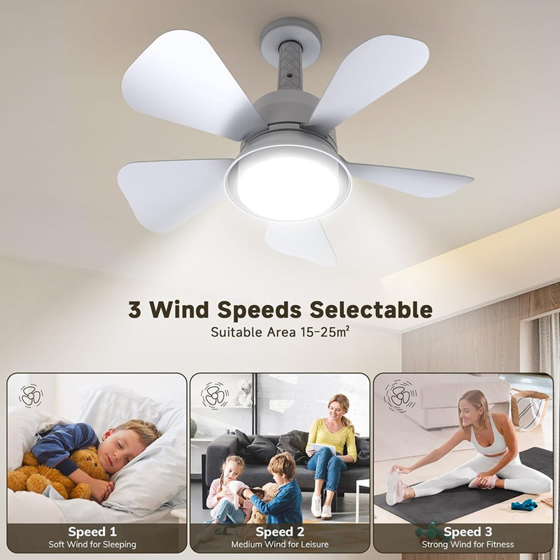 Ceiling Fans With Lights And Remote, Ceiling Fan Light 3000K-600...