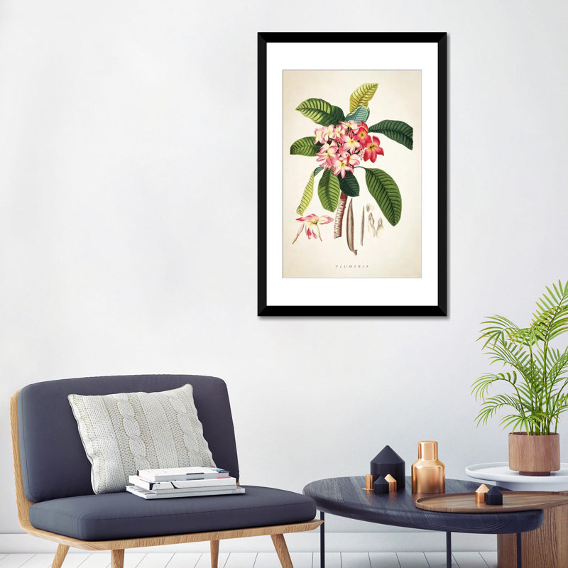 «Plumeria Botanical Print», impression sur toile, H 24 po x l 16 po x P 1 po, Papier beaux-arts encadré noir, Blanc