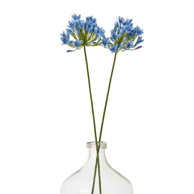Anastasija Arrangement, Blue