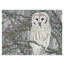 «Barred Owl White» de Nonette, impression sur toile tendue-30392910