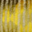 Proden Fabric-53164069