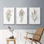 Ensemble de 3 reproductions de photos sur toile Dicat Botanical I-97754143-97754142