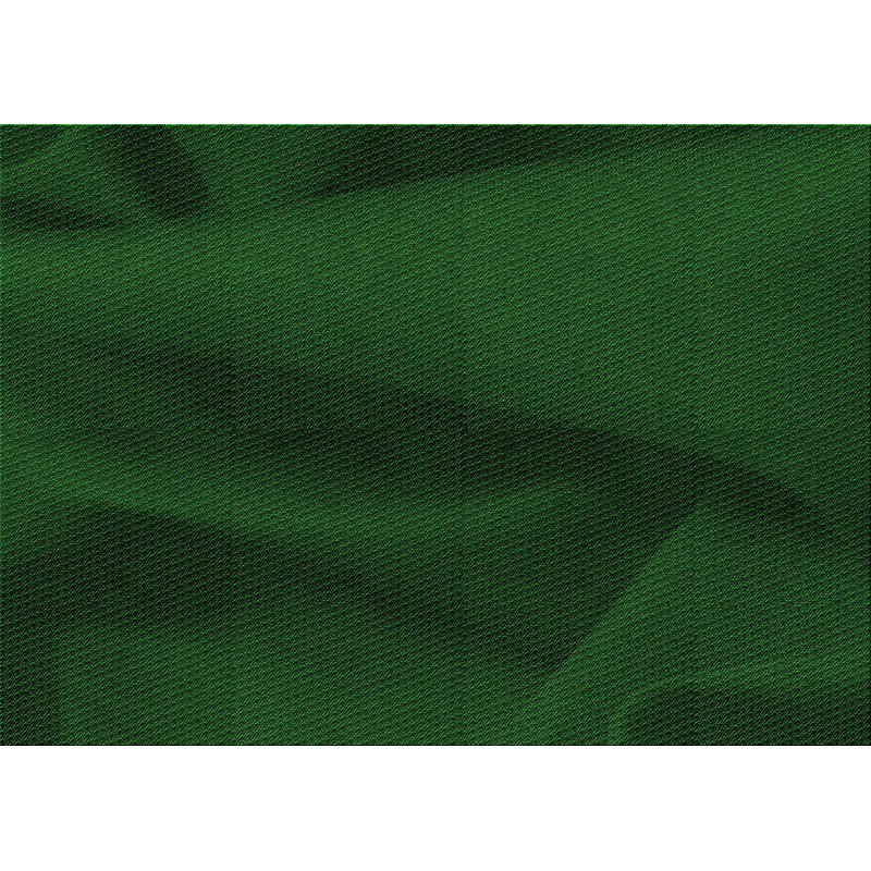 Tapis 100% à motifs lavables à la machine 2989 Pat536-GRN, Rectangle de 2 pi x 3 pi