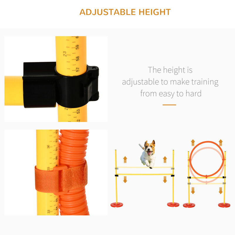 Objets de dressage d'agilité pour chien: 4 abdos jaunes - tunnel, haie, cerceau, poteaux de tissage Groupe: trousse