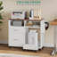 80cm Wide 2 -Drawer Mobile File Cabinet-496343641