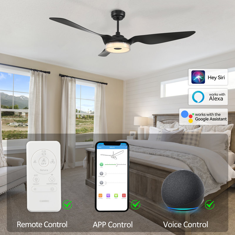 Aroz 60'' Ceiling Fan with LED Lights, Black