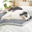 Pet Blanket